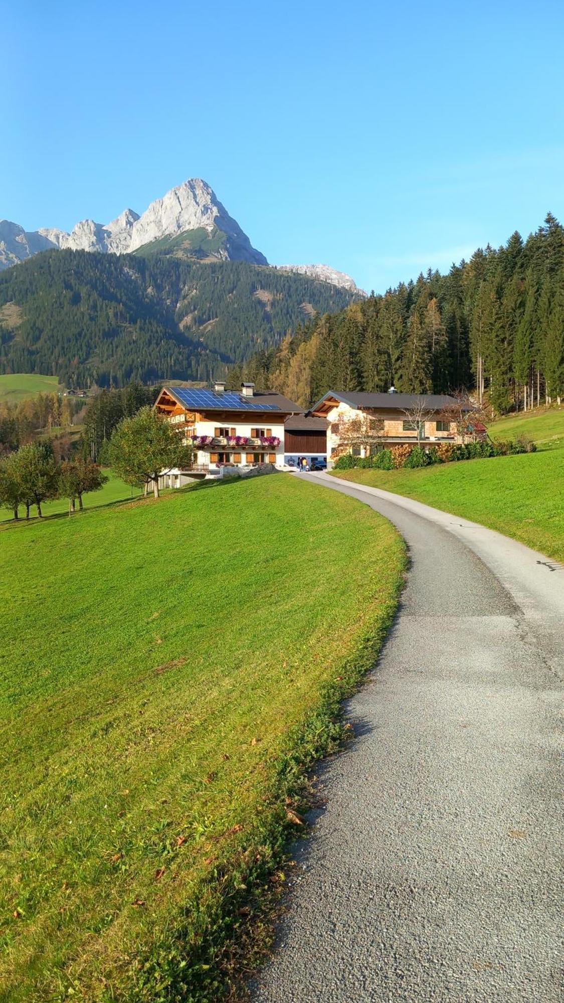 Frische Bergluft Und Laendlicher Charme - Ihr Aktiver Urlaub Am Muehlauhof Mühlbach am Hochkönig Buitenkant foto