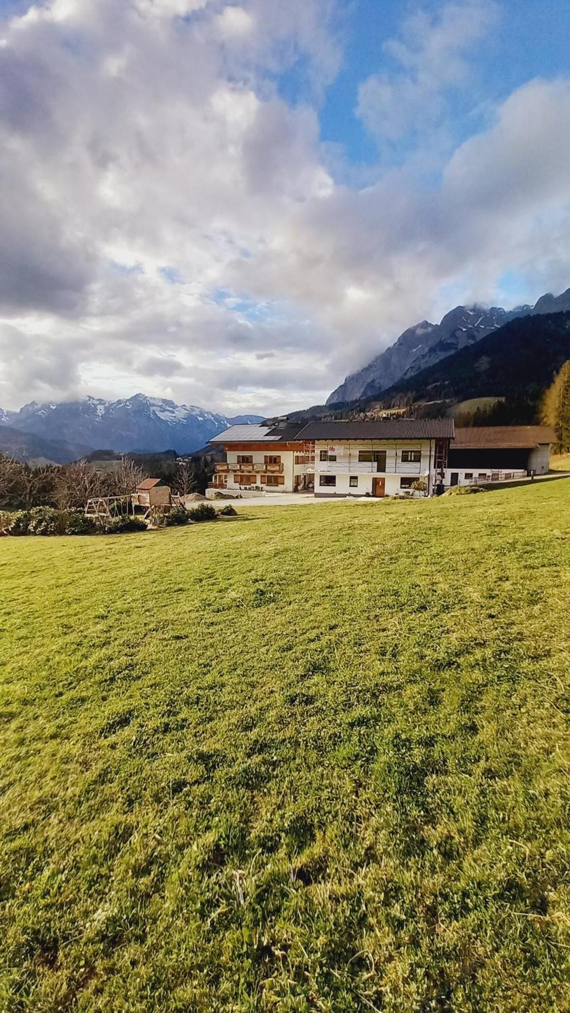 Frische Bergluft Und Laendlicher Charme - Ihr Aktiver Urlaub Am Muehlauhof Mühlbach am Hochkönig Buitenkant foto
